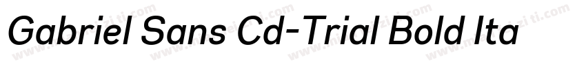 Gabriel Sans Cd-Trial Bold Italic字体转换